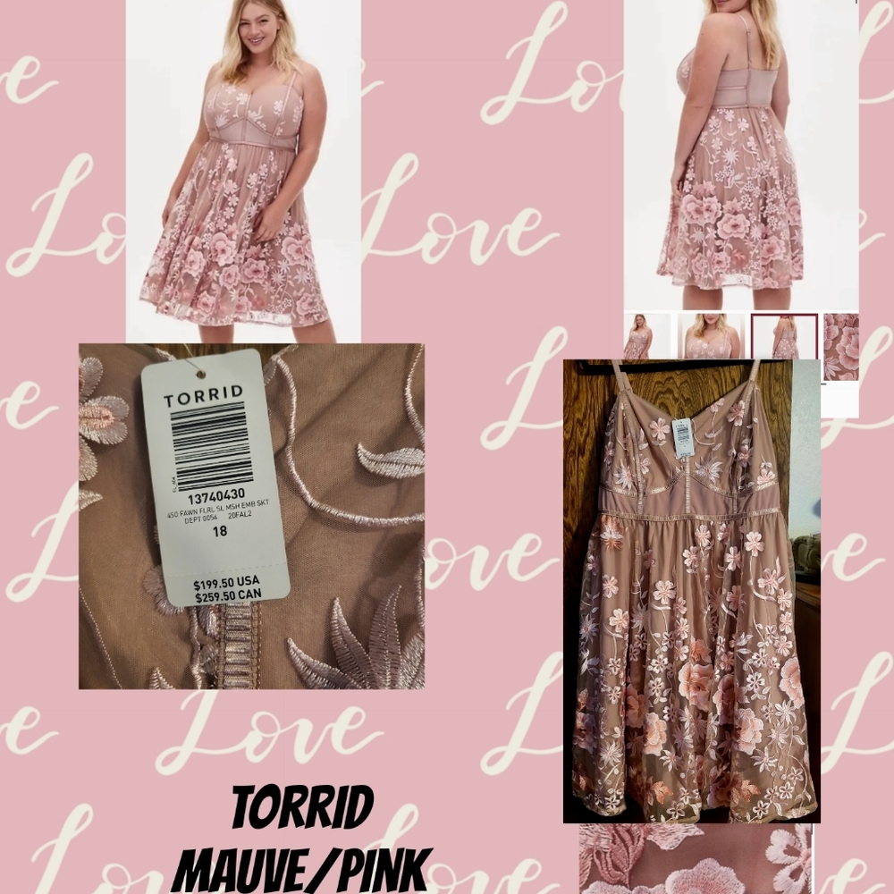 Torrid embroidered floral mesh mini dress